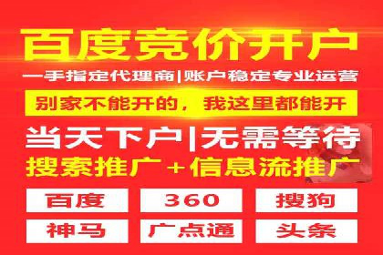 行业领先企业的SEM推广策略揭秘